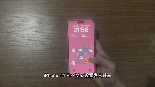 iPhone 14 Pro Max设置家人共享