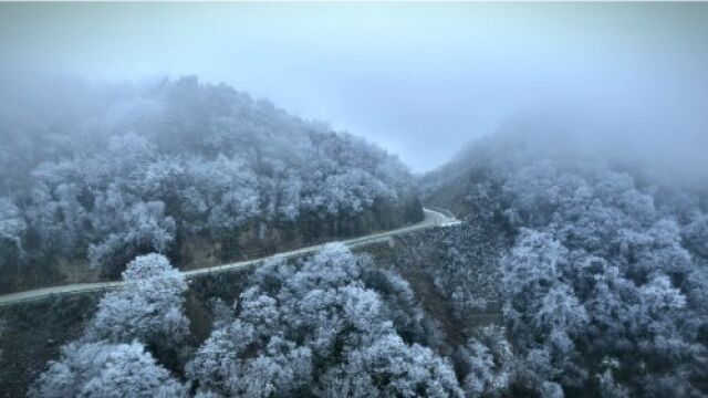 【大美汉中】一瞥惊鸿!春雪后的太子岭美若水墨画卷