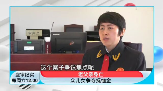 庭审纪实|老父亲身亡 众儿女争夺抚恤金