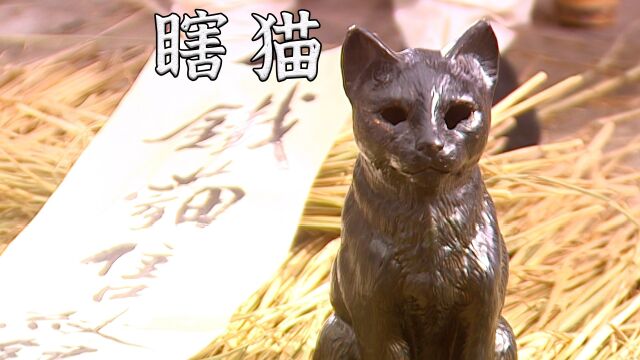 小伙花十两银子买了只瞎猫,没想到捡了大漏!