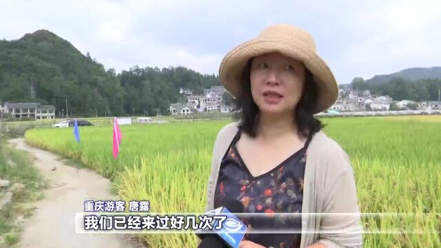 深化精神文明创建活动|全省文明乡镇 观山湖区百花湖镇:美丽乡村展新貌