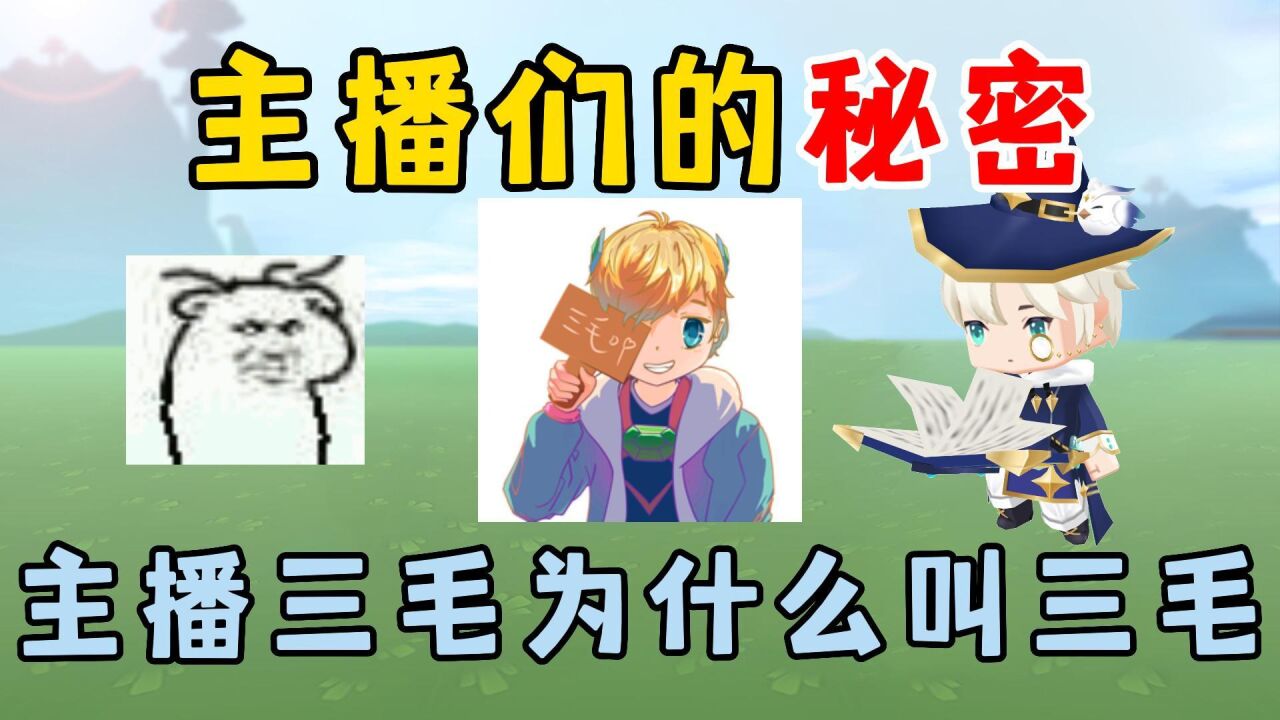 迷你世界:主播们的秘密!流浪的三毛为什么要叫三毛?