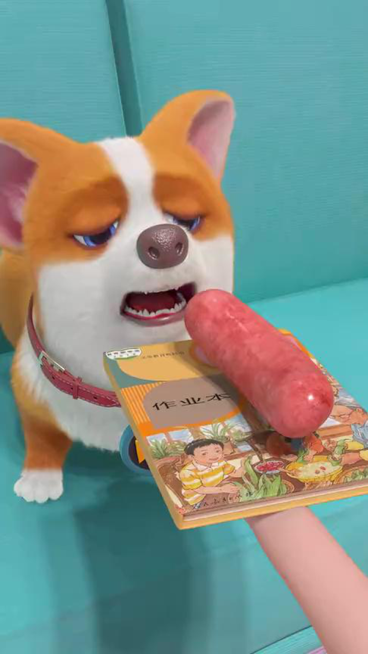 飞狗moco:主人,我劝你还是认真写作业,小狗狗不会吃作业的!