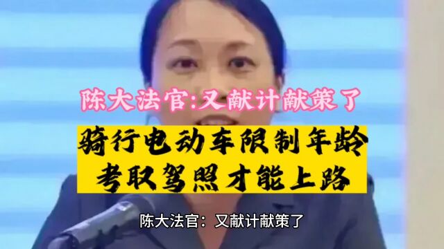 陈海仪大法官又献计献策了:骑电动车限年龄、考驾照成为必选项