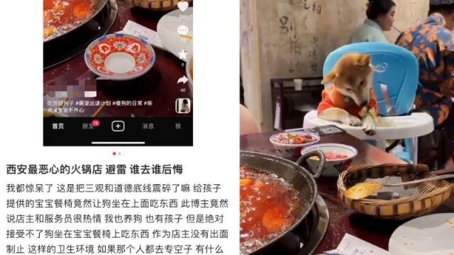 西安一火锅店被曝宝宝椅给狗使用,店员:曾提醒过顾客,宝宝椅每天会消毒