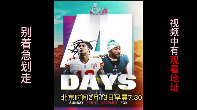 NFL超级碗中场秀直播: 酋长vs老鹰(中文解说)在线观看高清比赛