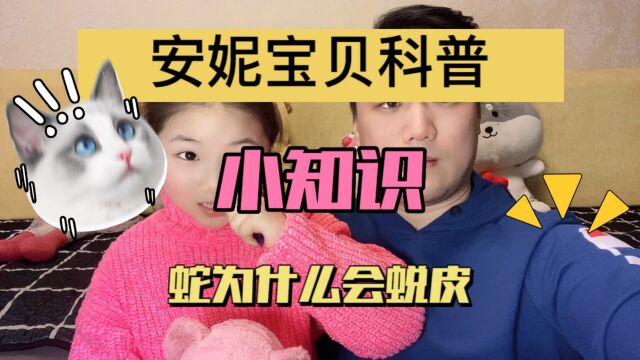 神奇的动物,蛇为什么要蜕皮?安妮宝贝科普小知识带你了解