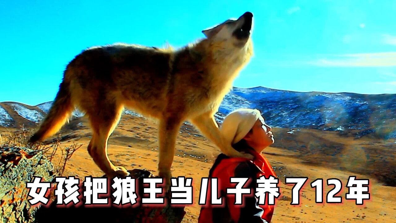 重返·狼群深度解读_女孩与狼王共处7年,造就了21世纪最伟大的亲情_电影_高清完整版视频在线观看_腾讯视频