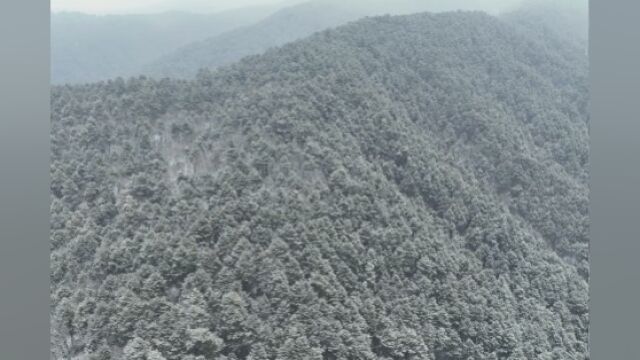 【飞越咸阳】咸阳旬邑:雪后马栏山,松雪相依耸峻岭