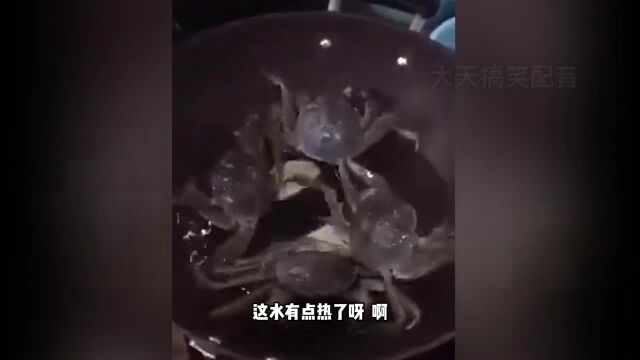 别看你身高比我高,我一个电炮你也够呛