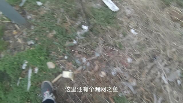 月薪9K在工作之余还捡垃圾,来看看小伙发现了什么宝贝直呼发财了