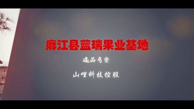 山哩控股工作组前往麻江蓝瑞果业交流学习,推进蓝莓相关业务合作