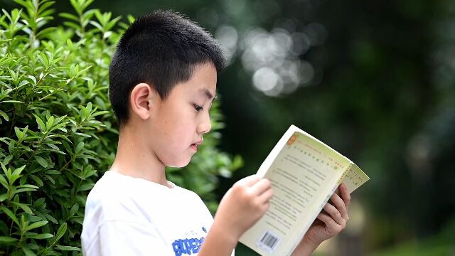 武义实验小学四11班张家维阅读《稻草人》的视频