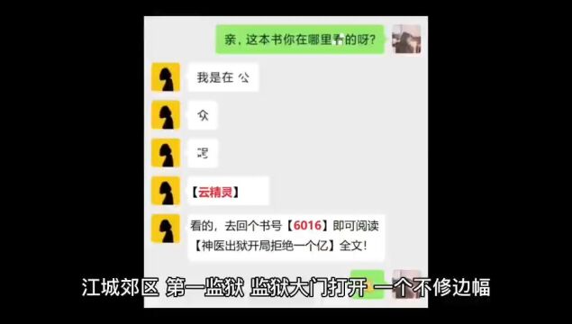 《神医出狱:开局拒绝一个亿》林霄全文免费阅读【完结小说】