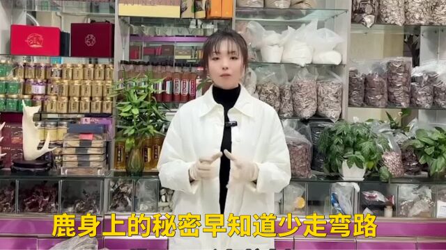 鹿身上这些东西什么作用知道吗?后悔知道晚了,早知道少走弯路