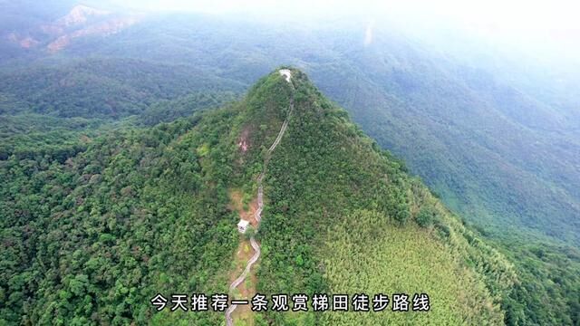 惠州小众登山观赏梯田路线,九龙峰角峰村梯田游玩攻略,你可要收藏好了!#九龙峰 #梯田美景 #角峰村 #旅拍惠州