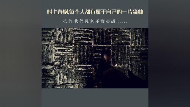 村上春树说:每个人都有属于自己的一片森林……#把生活拍成电影 #情绪短片