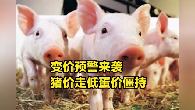 变价预警来袭!2月25日:畜禽市场行情,猪价走低蛋价僵持