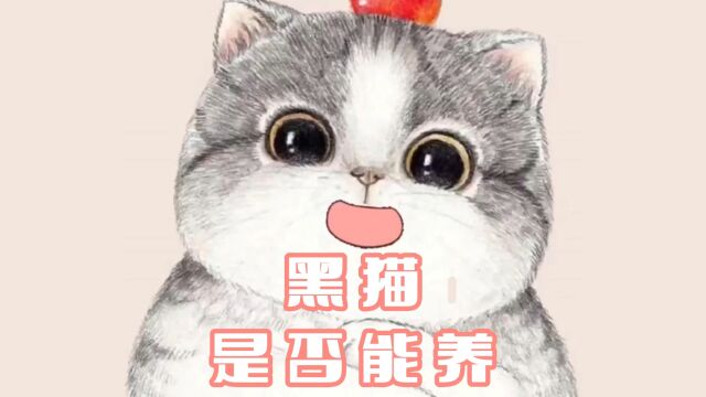 黑猫可以养吗?养黑猫要注意什么?