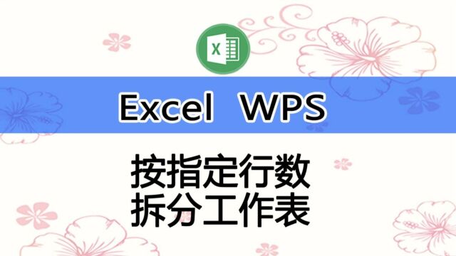 在Excel、WPS中按行拆分工作表的两种方法,手把手教学,一学就会哦