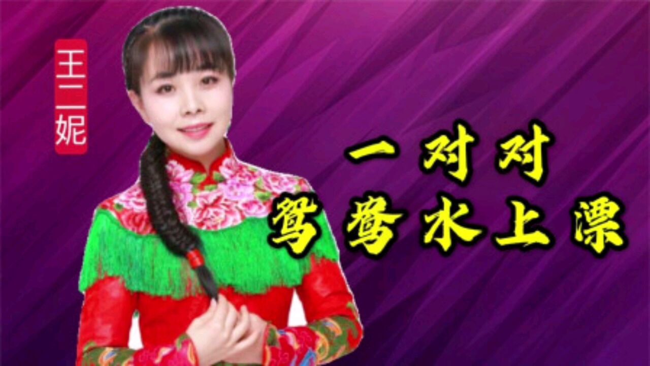 王二妮一首陕北民歌《一对对鸳鸯水上漂》好听好听!