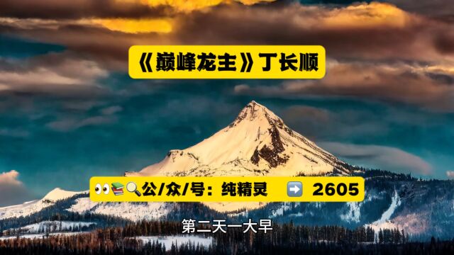 《巅峰龙主》丁长顺小说全文在线阅读◇无删减