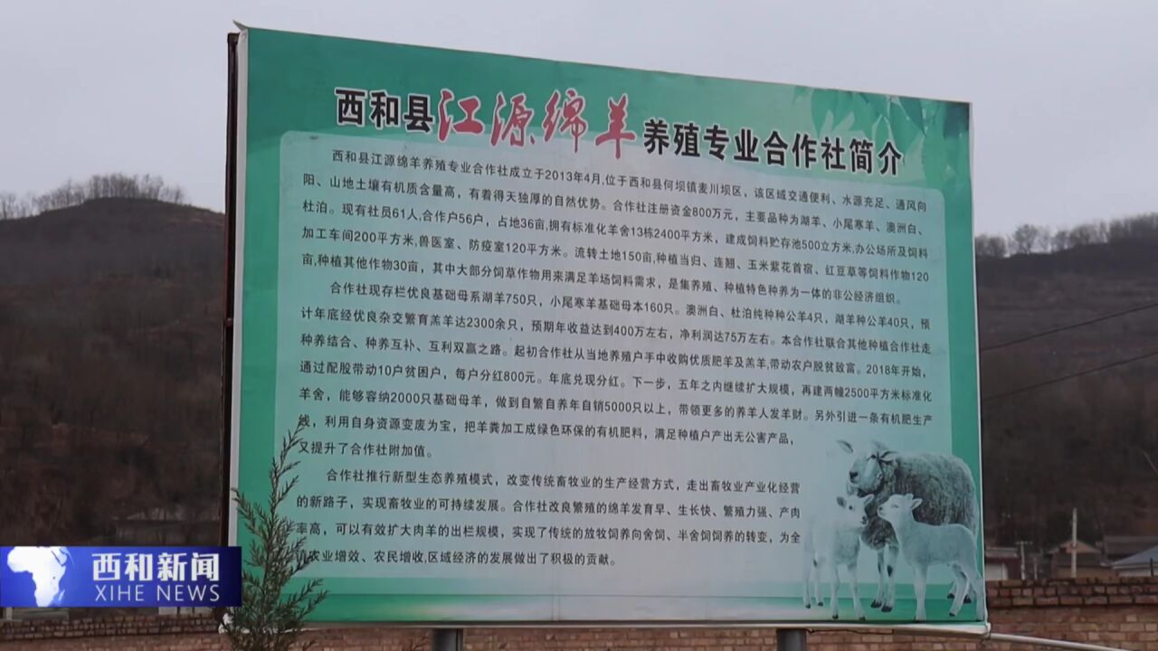 cctv致富经养羊(致富经养羊视频2018全集视频)