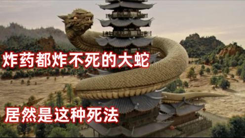 带你一口气看完最新电影”黄河巨蛇事件“ 浮棺出 巨蛇现