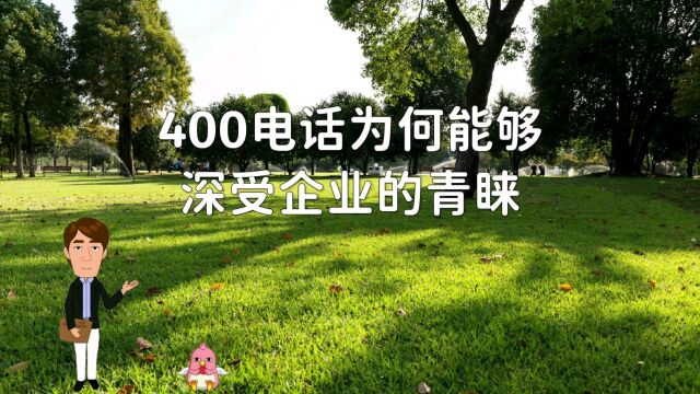 400电话为何能够深受企业青睐