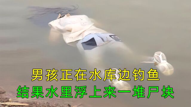 男孩正在水库边钓鱼,结果水里浮上来一堆尸块