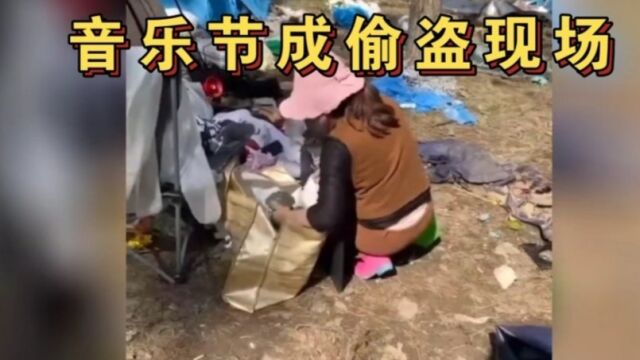 河南南阳迷笛音乐节成大型盗窃现场……