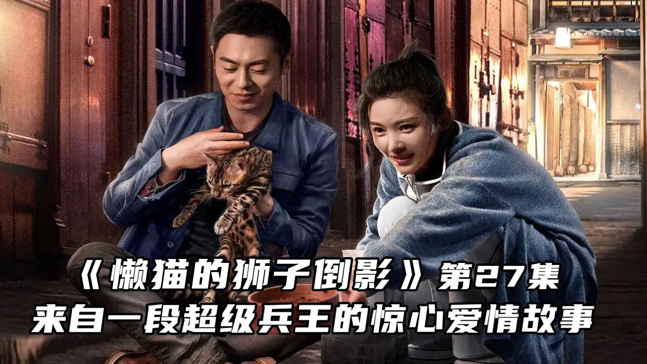 狮子倒影的懒猫电视剧图片