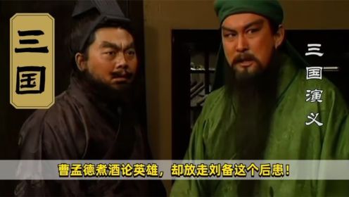 《三国演义》19：曹孟德煮酒论英雄，却放走刘备这个后患！最终只剩后悔，历史剧