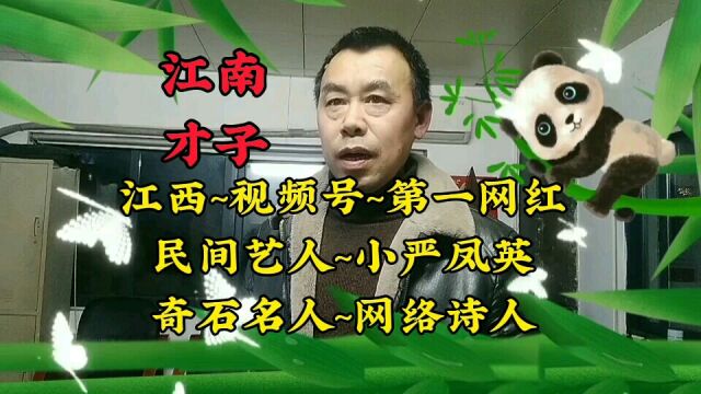 江西~视频号~第一网红~老乐~民间艺人~小严凤英~奇石名人~网络诗人