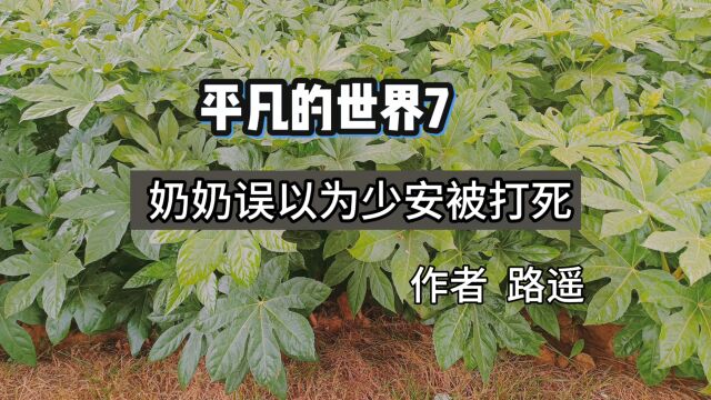 平凡的世界07 奶奶误以为少安被打死 作者 路遥