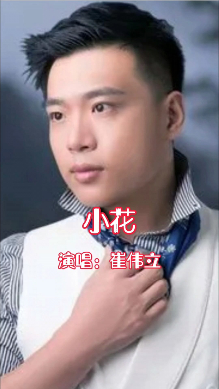 崔伟立演唱的歌曲《小花》,请欣赏