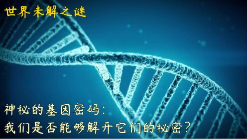 神秘的基因密码：我们是否能够解开它们的秘密？