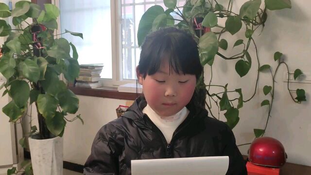 田家小学三年级(1)班桃花的作文——我的植物朋友