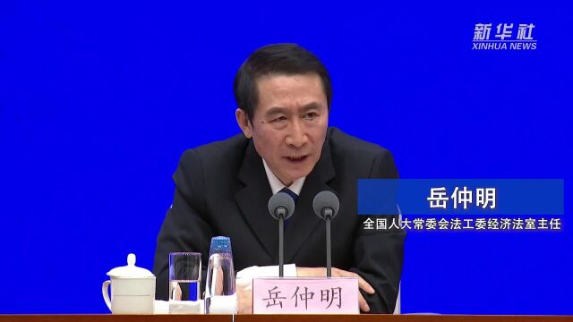 岳仲明:对电信网络诈骗进行全链条综合管理