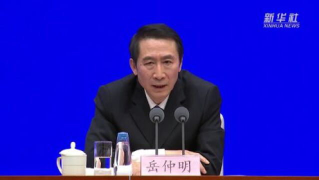 岳仲明:对电信网络诈骗进行全链条综合管理