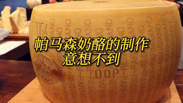 从0到1揭秘帕玛森奶酪的制作过程,原来帕玛森奶酪是这样制作的!