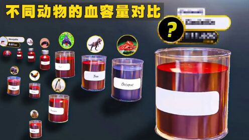 不同动物的血容量对比,看看哪种动物的血容量最惊人?_高清1080P在线观看平台_腾讯视频