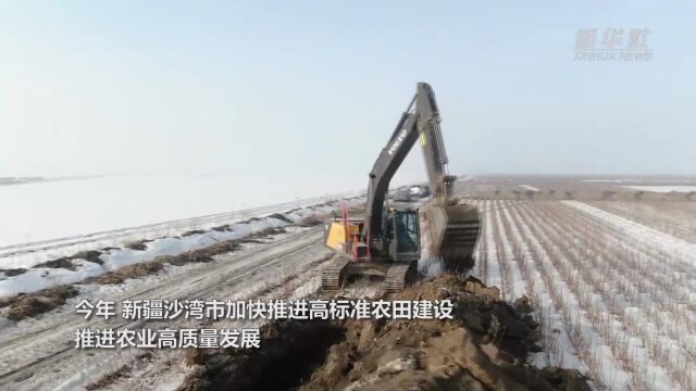 新疆沙湾:加快推进高标准农田建设