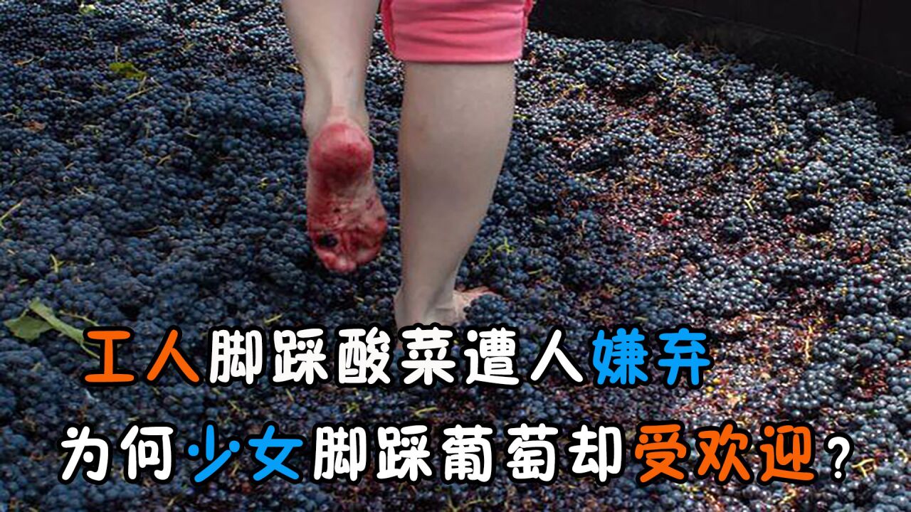 工人脚踩酸菜被"网曝",而葡萄酒用少女光脚踩,为何受到欢迎?