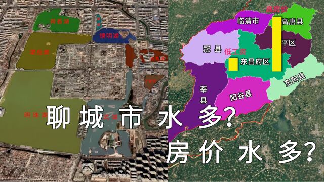 山东省聊城市房价高水分多?