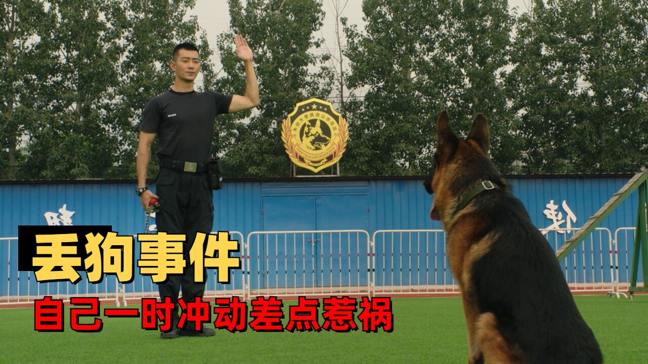 警犬剧照图片