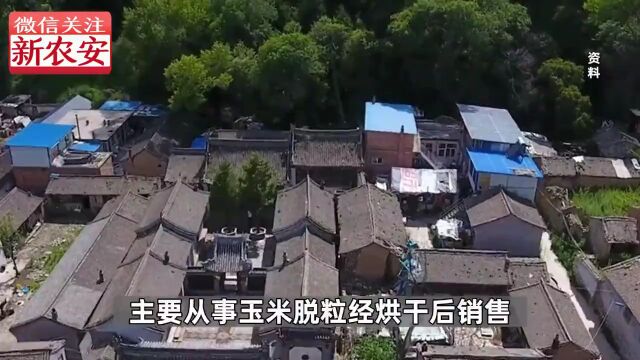 突发!7人身亡!6人去救1人…