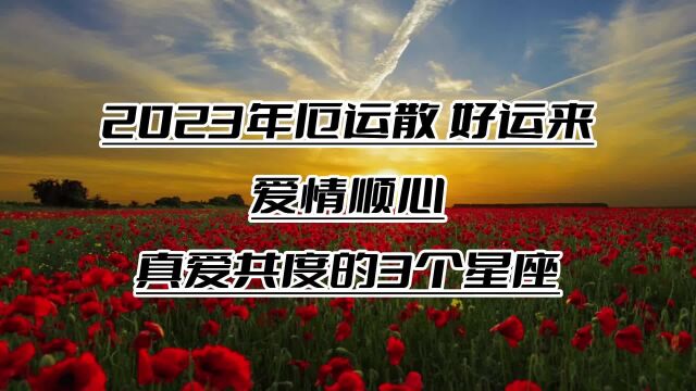 2023年,厄运散,好运来,爱情顺心,真爱共度的3个星座