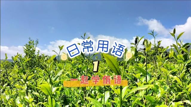 佤语日常用语(1)#方言不同语音也有所不同#希望能帮到有需要的人 #一起学习一起进步