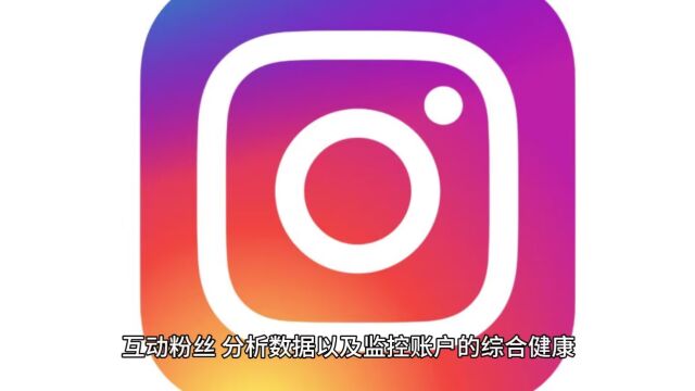 探索巨鲸Instagram群控系统:社交媒体管理的未来